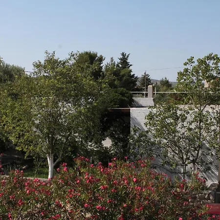 6647a Apartament